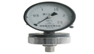 YPF-100A膜片压力表
